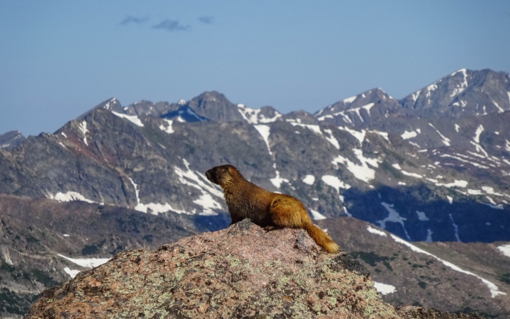 outdoor summer program for teens in colorado